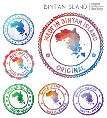 Bintan Island badge. Colorful polygonal island symbol. Multicolored geometric Bintan Island logos set. Vector illustration.