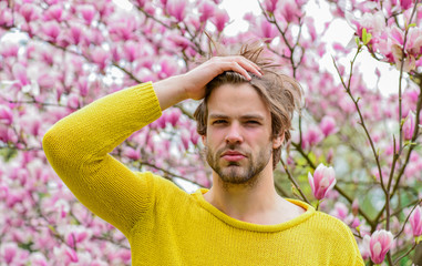 i am a spring. fresh blossom flower. unshaven man magnolia tree. sakura background. enjoy good...