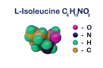 Structural chemical formula and space-filling molecular model of l-isoleucine or isoleucine, an essential amino acid in human. Medical background. Scientific background. 3d illustration