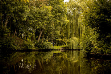 Fototapeta na wymiar Autumn panorama reflected on water
