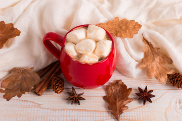 Red mug with cocoa and marshmallows, on a background of a scarf and dry leaves. Autumn mood, a warming drink.