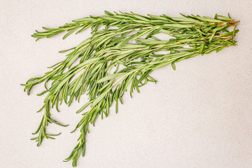 Fresh Rosemary bunch. Raw herb sprigs