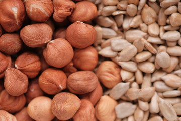 Background of hazelnut and sunflower seeds. 