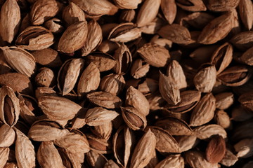Almonds background. Almonds texture. 