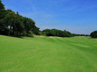 Fototapeta na wymiar golf course on the background of blue sky