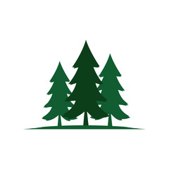 pine tree logo vector