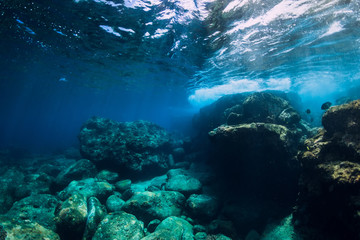Fototapeta na wymiar Tranquil underwater scene with copy space. Tropical transparent sea