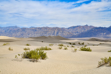 Dünen auf dem Weg ins Death Valley