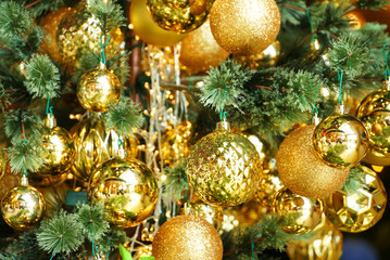 Fototapeta na wymiar Christmas tree decorate with gold shinny ball