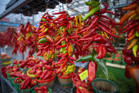 Diff&eacute;rents piments