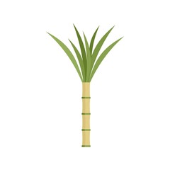 Eco plant cane icon. Flat illustration of eco plant cane vector icon for web design