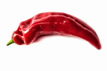 Spitzpaprika