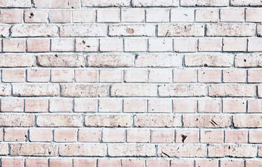 White brick wall background.