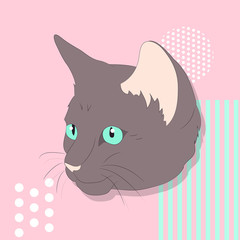 vector illustration of a portrait of a cat on a colored background