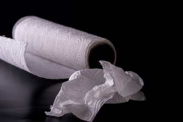 Multipurpose paper towels, absorbent papers