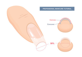 Correct C-curve. Manicure Tutorial. Nail Extension Guide. Tips and Tricks. Vector Illustration - obrazy, fototapety, plakaty