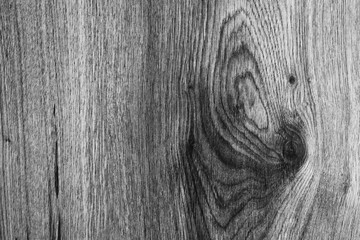 Wood texture. Fragment of a laminated panel.