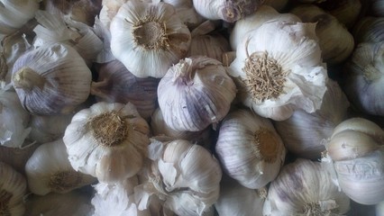 garlic on the market