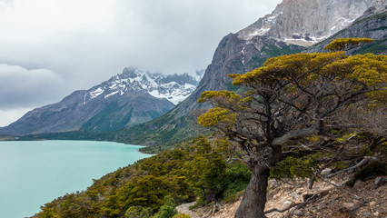 Torres del Paine