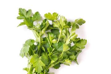 bunch of organic fresh parsley with copy space