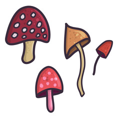 Flat illustration with mushroom, doodle style icon for decoration design. Vintage hand drawn vector set.