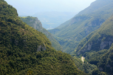 Ravine overgrown with green forest