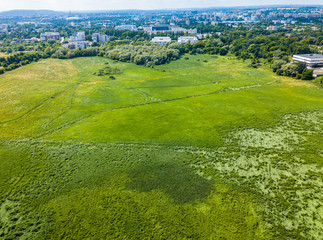 Park Meadows of Nowa Huta, Krakow, Poland