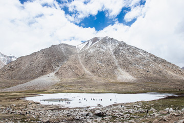 LEH LADAKH, INDIA - JUN19, 2018: Tourist travel to play himalayan snow mountains in Leh Ladakh, India