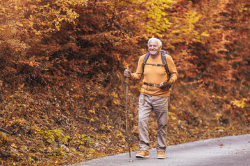 Senior man hiking in autumn forest.