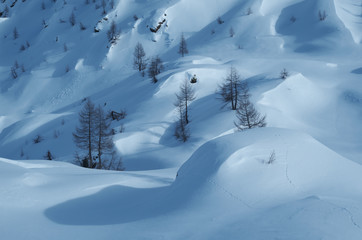 Fototapeta na wymiar Winter mountains. Snowy slope and coniferous trees