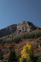 Altai mountain in autumn color