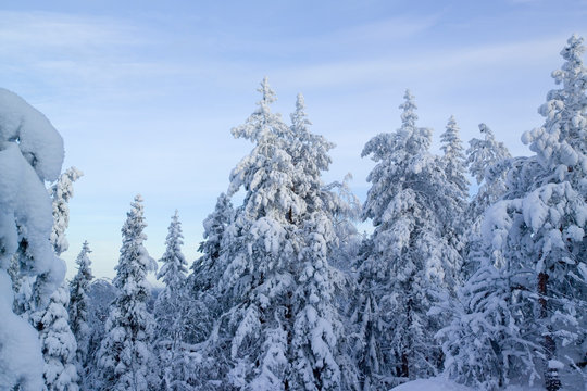 Sotkamo Billeder Gennemse 1,862 stockfotos, vektorer og videoer