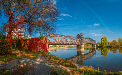 Cityscape of old railway metal rusty bridge in red ivy leaves over Elbe river in downtown of Magdeburg in Autumn colors, Germany