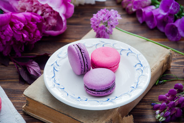 Purple and pink various flowers and Purple and pink macaroons