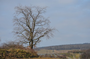 Landschaft