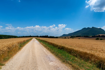 Rural landscape in the Rome province