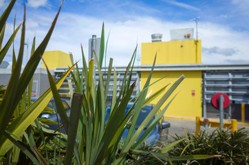 Shopping center roof area parking with decorative plants