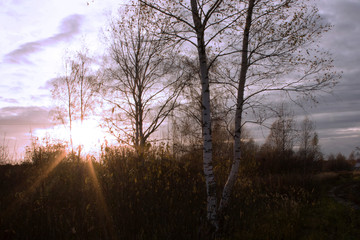 Sunset rays 