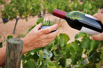 Woman's hand holding a glass and bottle of wine among the vineyards