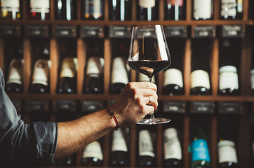 Close up shot of sommelier holding a glass of delicious red wine and excellent wine bottles...
