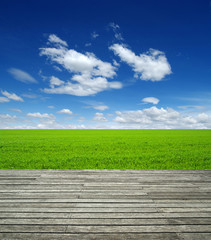 Wood texture and field