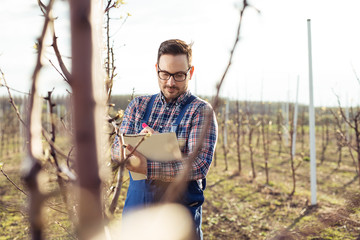 Farmer With Clipboard in an Orchard Checking Condition of Pear Trees