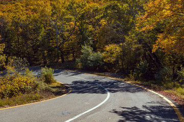 Obraz premium Road among yellow autumn mountain forest
