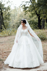 Beautiful bride with fashion veil. Bride with a beautiful hair style and crown in hair. Tender...