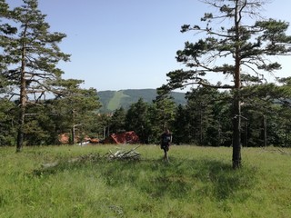 Mountain Divcibare Serbia green pasture
