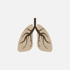 Lungs, medical icon. Vector illustration, flat design.