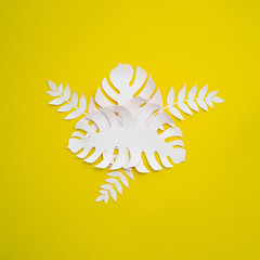 Tropical monstera in paper cut style on yellow background