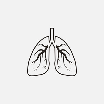 Lungs, medical icon. Vector illustration, flat design.