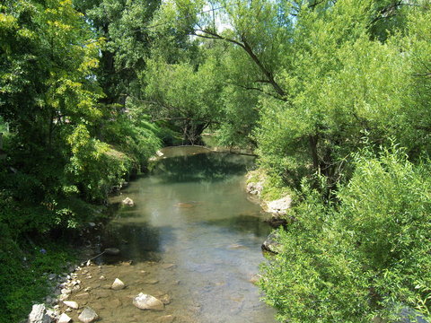 River Gradac Valjevo summer vegetation 
