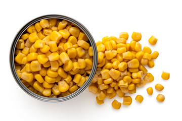 Canned sweet corn in an open metal tin next to spilled sweet corn isolated on white. Top view.